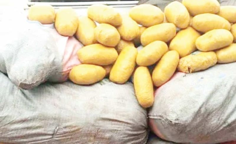 Kano Seizes $1B in Illegal Drugs in Major Health Win