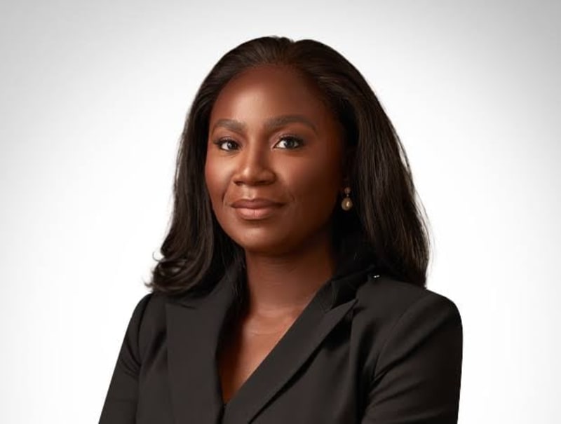 Nigerian power plant facilities with transmission towers against clear sky symbolizing infrastructure investment