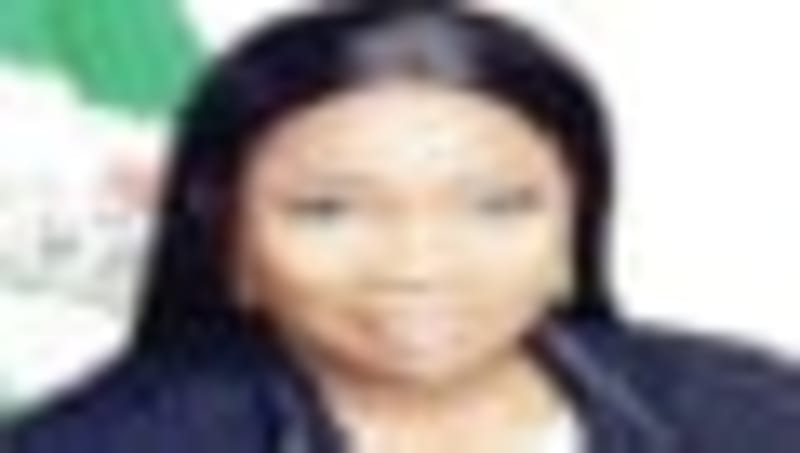 180 Niger Communities Get 24-Hour Solar Power After 10 Years - Image 3