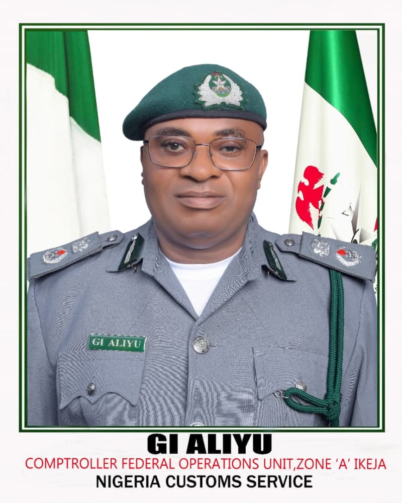 Nigeria Customs Saves Four Pangolins From Smugglers - Image 2