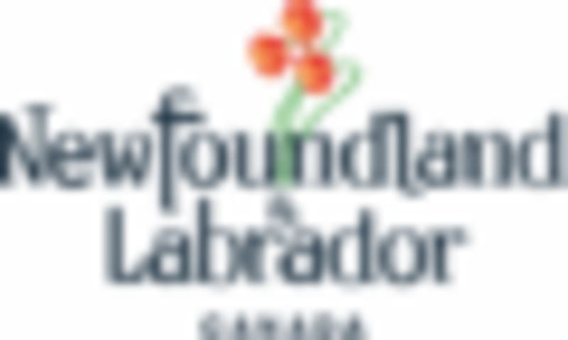 Nigeria High Commission Settles Debt, Power Restored - Image 3