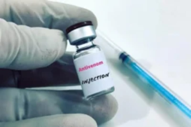 Dakar 2026: Africa's First Youth Olympics Just 270 Days Out - Image 3