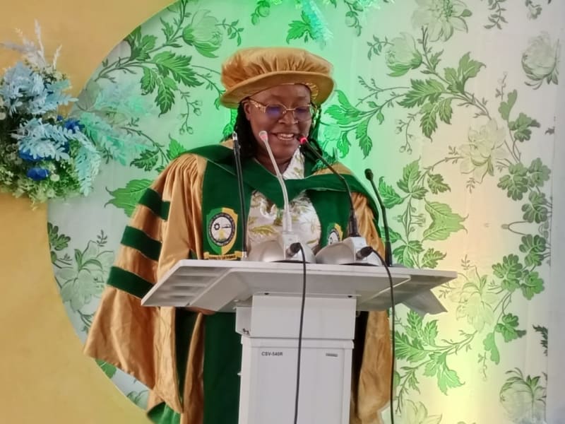 Nigerian Professor Calls for Safer Plant-Based Food Systems - Image 2