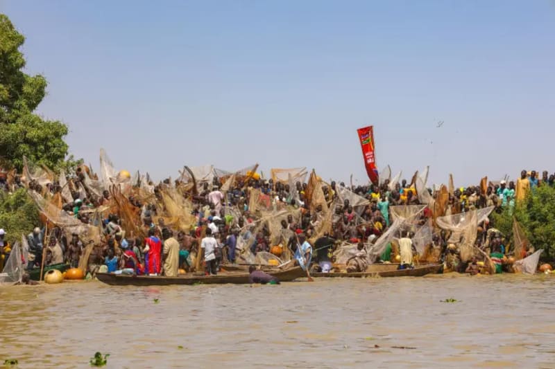 Nigeria's Argungu Fishing Festival Draws Massive Crowds - Image 5
