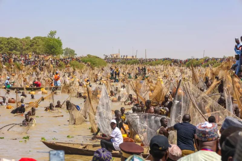 Nigeria's Argungu Fishing Festival Draws Massive Crowds - Image 3