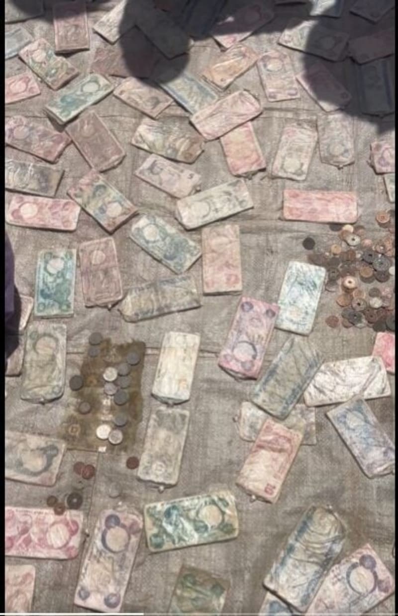 Nigerian trader displaying historical currencies from cowries to modern naira at Argungu Festival