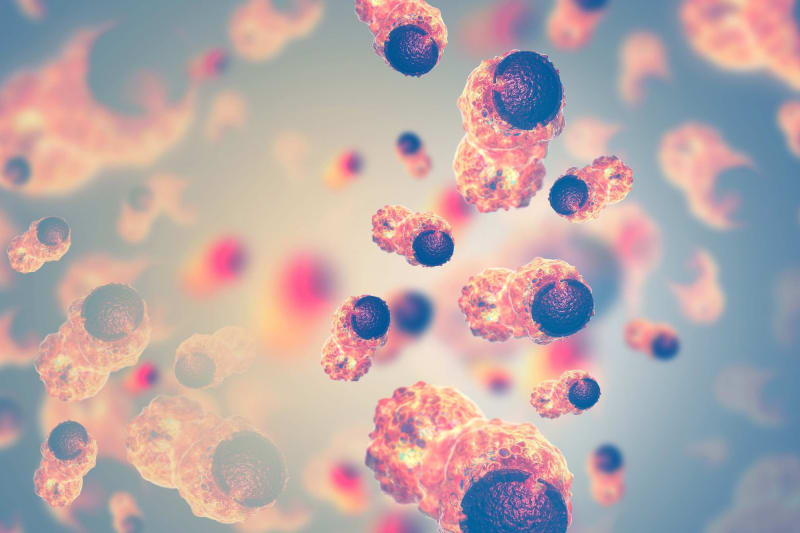 Exciting Advances in Cancer Treatment: Five Breakthrough Therapies Show Promise - Image 2