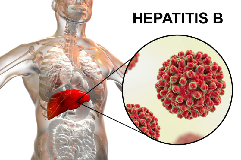 Breakthrough Drug Bepirovirsen Achieves Major Milestone in Hepatitis B Treatment - Image 3