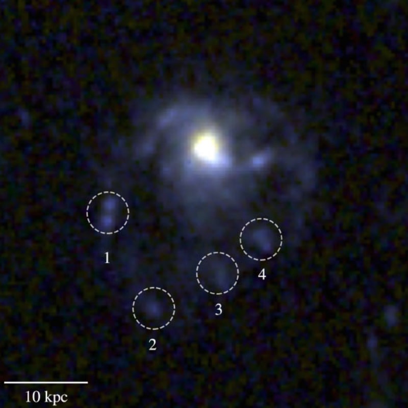 Webb Telescope Spots 'Jellyfish Galaxy' 8.5 Billion Years Old