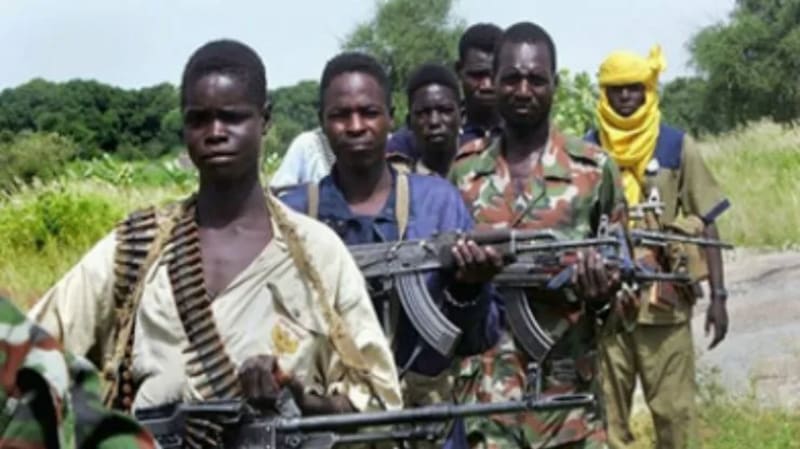 Niger Security Forces Rescue 10 Kidnapping Victims