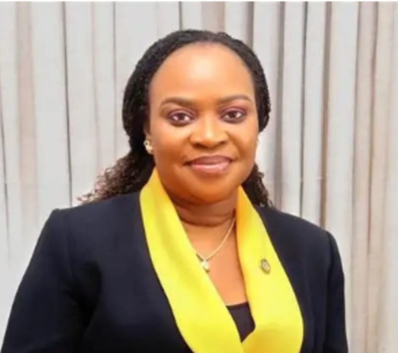 Lagos Enrolls 1.3M in Health Plan to Save Moms and Babies