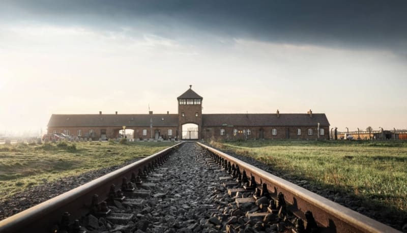 Auschwitz Liberation 80 Years: Remembering 1.1M Lives - Image 2