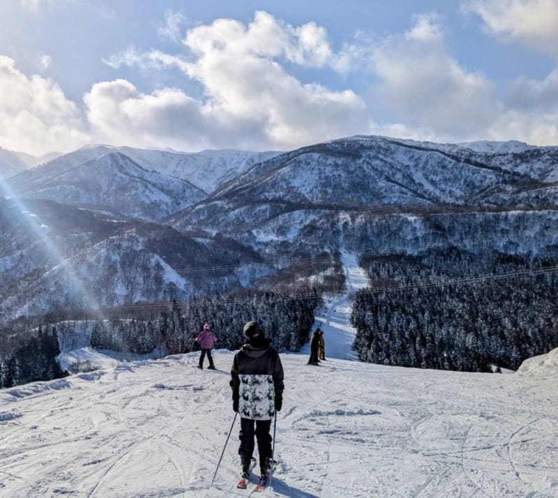 Japan's Best Ski Snow in a Decade Draws Global Visitors - Image 2