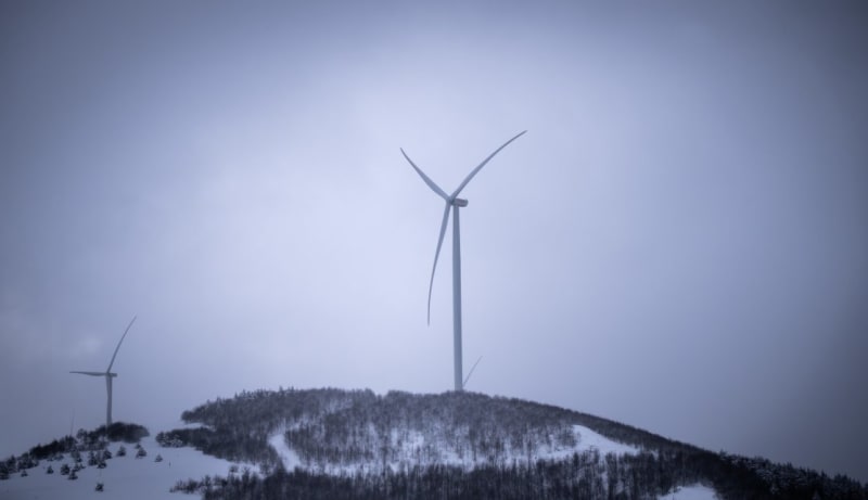 US Backs Albania's 600MW Wind Farm for Energy Security - Image 2