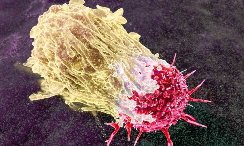 Banned Woman Chemist Saved Millions of Kids from Leukemia