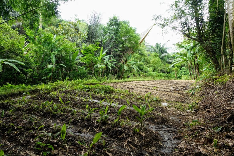 Medical students in kitchen classroom learning to prepare fresh, colorful plant-based meals and vegetables together