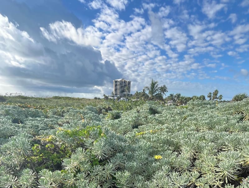 6 Powerful Ways Everyday People Can Fight Climate Change in 2026