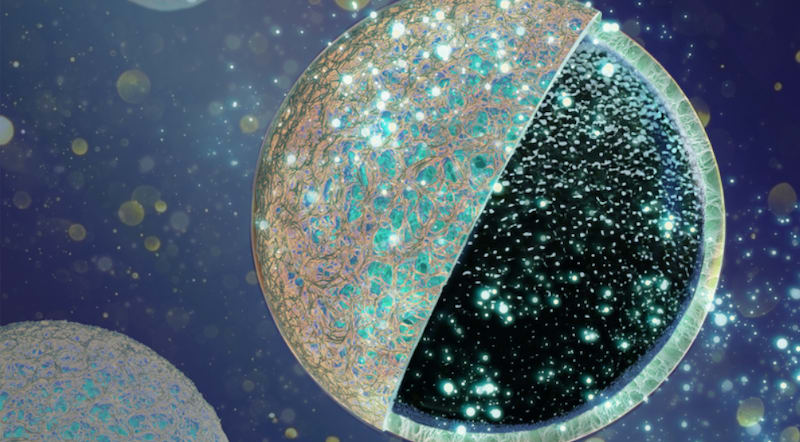 Microscopic view of carbon-coated battery anode showing protective outer layer over porous core structure