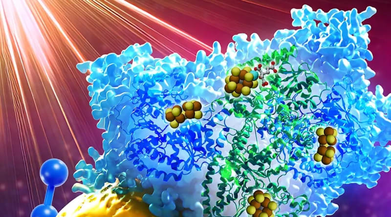 Scientists Use Light to Make Ammonia With 98% Less Energy