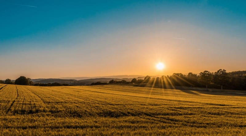 California Farmers Turn Dry Land Into America's Biggest Solar Farm