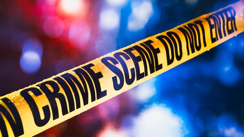 Mom Fights for Cure After Son's Rare Disease Diagnosis - Image 4