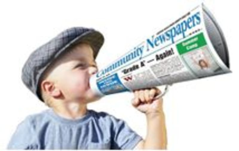 Miami Firefighters Free Tangled Pelican in Bay Rescue - Image 3