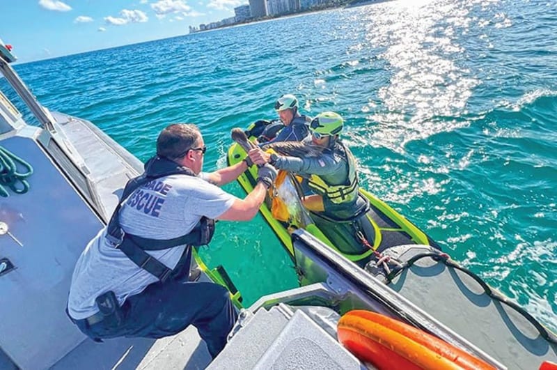Miami-Dade Fire Rescue crew member holding rescued pelican on fire boat in Biscayne Bay