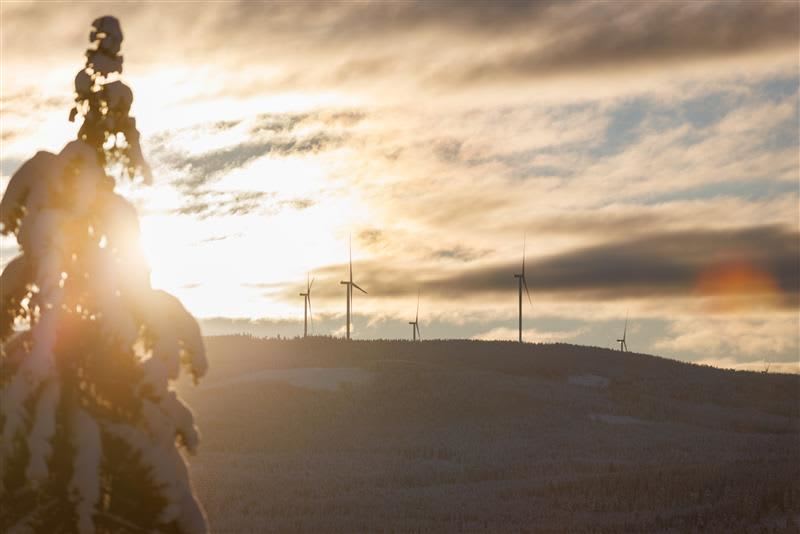 Tall white wind turbines rising above snow-covered Swedish forest landscape at dawn