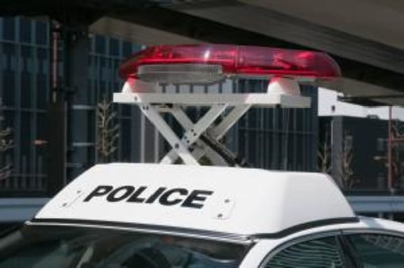 Japan's Last Pandas Return to China After 52-Year Friendship - Image 4