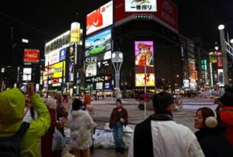 Japan's Last Two Pandas Head Home to China - Image 4