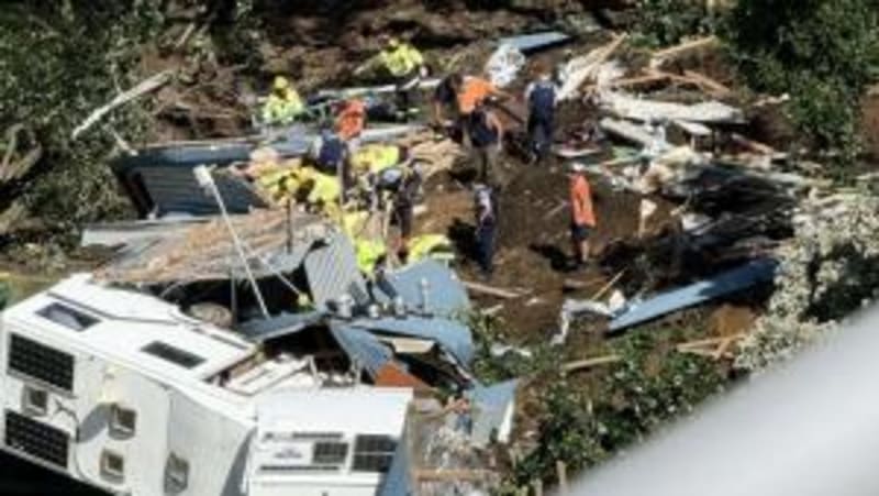 UK Hiker Carries Abandoned Kitten 50km Through NZ Mountains - Image 4