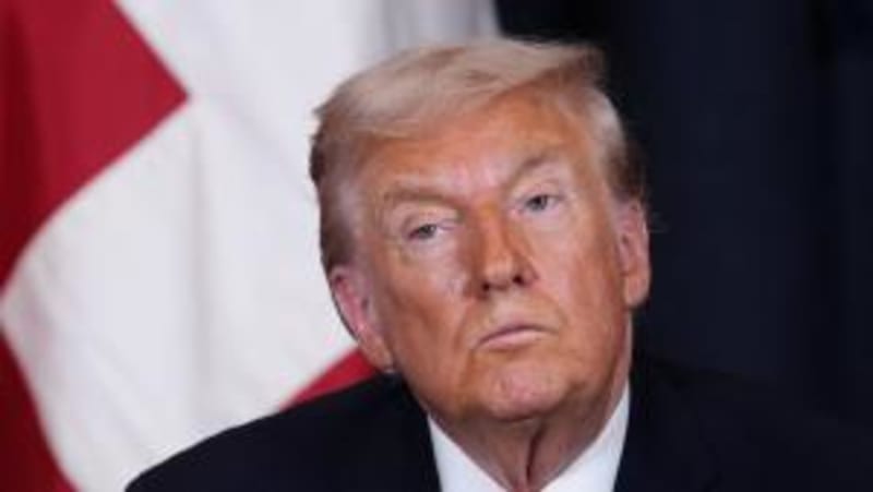 Auckland Contractor's Tree Mix-Up Shows We All Make Mistakes - Image 5