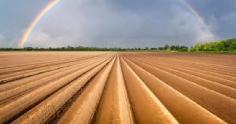 Africa's Tech Integration Could Transform Food Security - Image 4