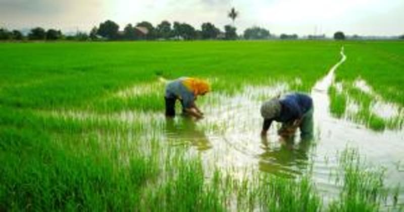 Africa's Tech Integration Could Transform Food Security - Image 3