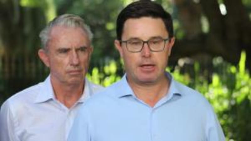 UK Hiker Carries Abandoned Kitten 50km Through NZ Mountains - Image 5