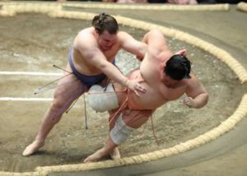 Ukrainian Refugee, 21, Becomes Sumo Star in Japan - Image 5