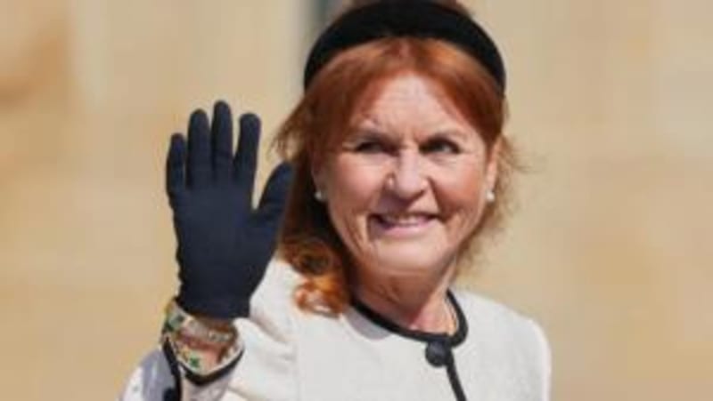 New Zealand MP Shares Her Coastal Paradise With Visitors - Image 4