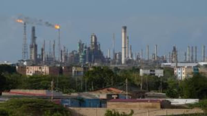 Former Black Caps Launch Edinburgh Cricket Team - Image 4