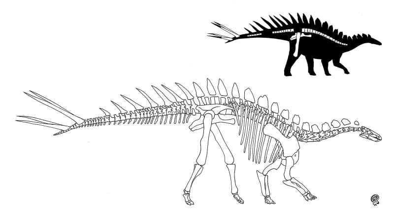 Wyoming's Rarest Dinosaur: Only One Ever Found, Almost Lost - Image 5