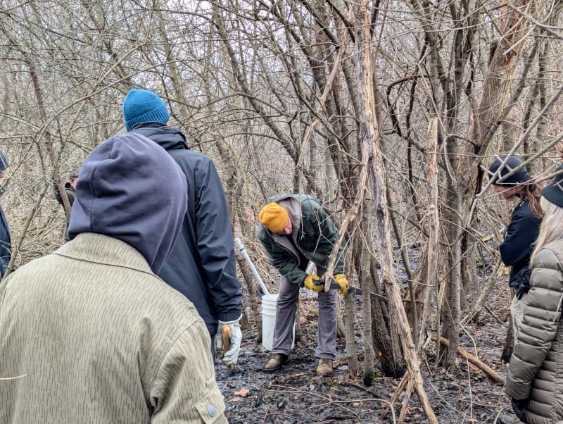 Grand Rapids Volunteers Restore 'Beyond Hope' Wetland