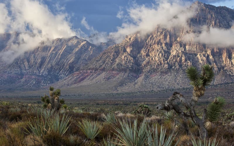 America's 906 Conservation Lands Fuel Scientific Discovery - Image 4