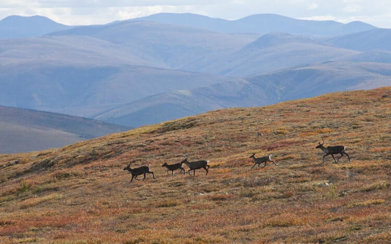America's 906 Conservation Lands Fuel Scientific Discovery - Image 3