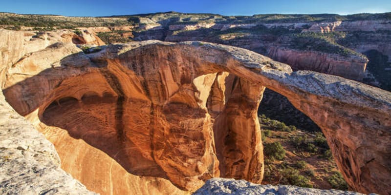 America's 906 Conservation Lands Fuel Scientific Discovery