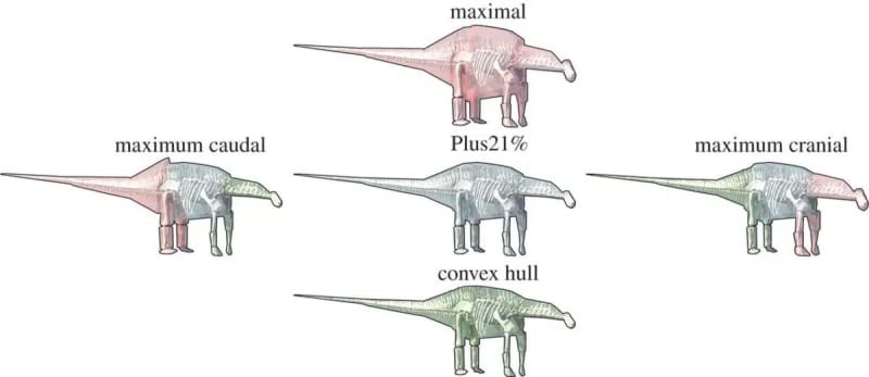 Scientists Solve How Dinosaurs Grew 50-Foot Necks - Image 4