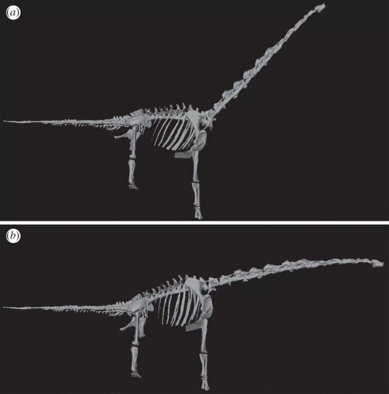 Scientists Solve How Dinosaurs Grew 50-Foot Necks - Image 3