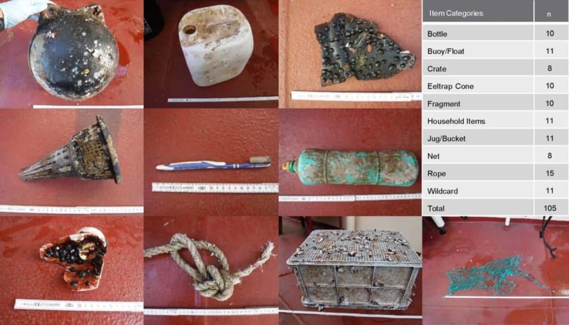 Ocean Life Thrives on Pacific Garbage Patch Plastic - Image 5