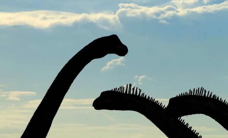 Scientists Solve How Dinosaurs Grew 50-Foot Necks - Image 2