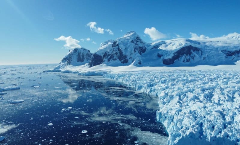 Scientists Find Massive Fish Colony Under Antarctic Ice