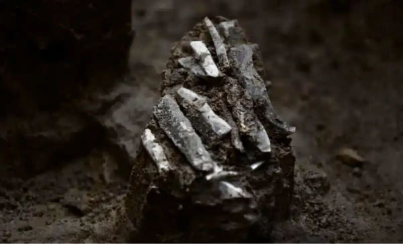 30,000-Year-Old Toolkit Reveals One Ice Age Hunter's Life - Image 2