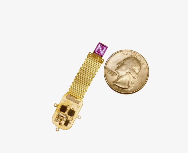 Student Breaks Ironman Record in 11 Months Across 6 Continents - Image 3